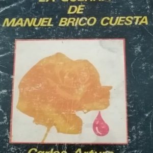 La guerra de Manuel Brico Cuesta