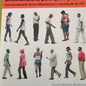 Acciones afirmativas y ciudadanía diferencia étnico- racial negra, afrocolombiana, palenquera y raizal.
