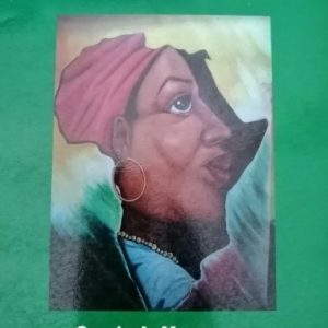 Africanía en la novela maría