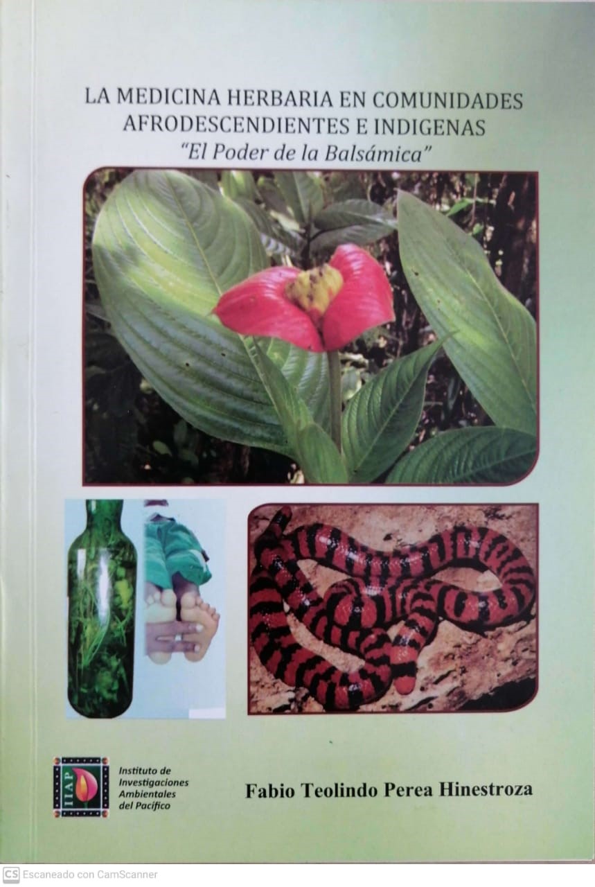 La medicina herbaria en comunidades afrodescendientes e indígenas