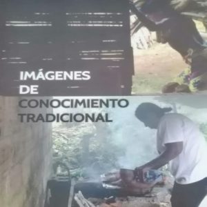 Imágenes de conocimiento tradicional