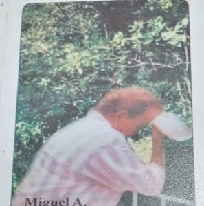 Cuando las madres lloran