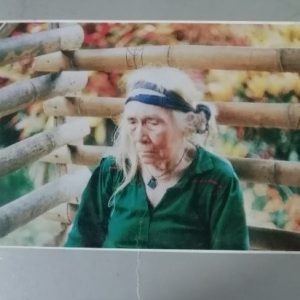 Dioses demonios y brujos de la comunidad indígena Chami